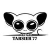 tarsier